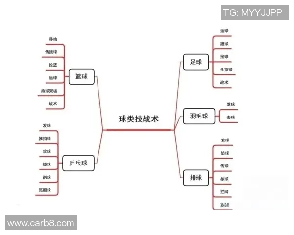 深圳篮球队配合变革引发热议新战术助力球队崛起与发展
