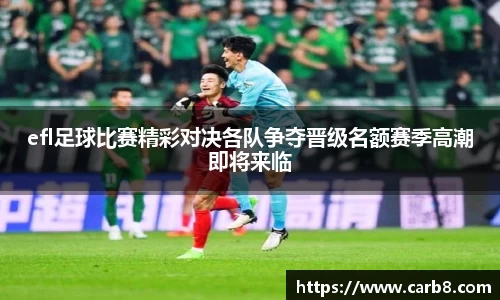 efl足球比赛精彩对决各队争夺晋级名额赛季高潮即将来临